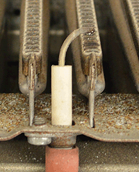 sm friendly format ige in situ .gif